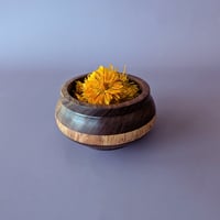 Image 1 of Small Hardwood Banded Vessel - Walnut and Maple Burl