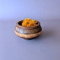 Image 3 of Small Hardwood Banded Vessel - Walnut and Maple Burl