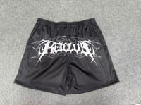 Image 3 of Signature Mesh