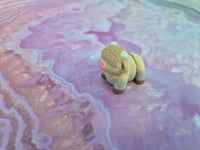 Image 1 of Mini Highland Cow