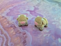Image 2 of Mini Highland Cow