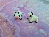 Image 2 of Mini Cow