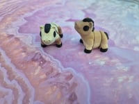 Image 1 of Mini Horse