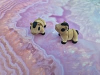 Image 2 of Mini Horse