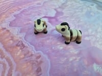 Image 3 of Mini Horse