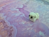 Image 1 of Mini Sheep