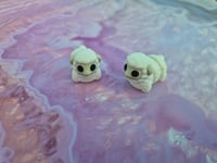 Image 2 of Mini Sheep