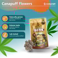 Image 2 of 9H-THC cvjetovi bijelog tartufa 60%