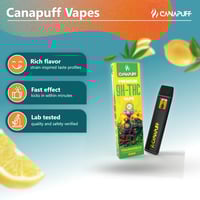 Image 2 of 9H-THC Vape Trainwreck 1ml