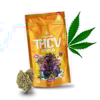 Image 1 of THCv cvijeće gorile 69%