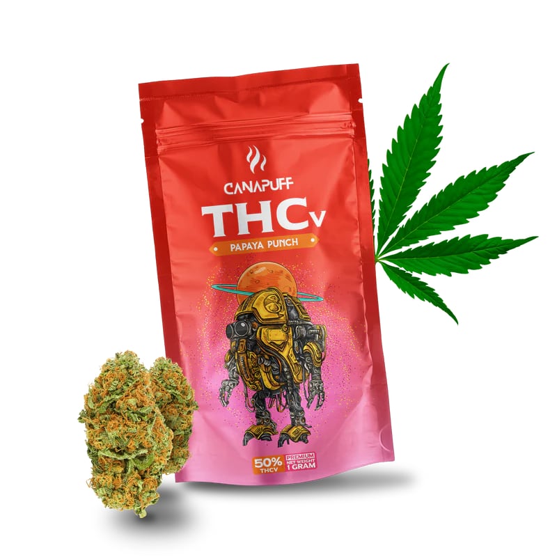 Punč od papaje s THCv cvijećem 50%  Sativa 1g