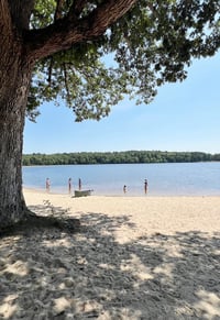 Image 3 of SUMMER ART / MINI BEASTS CAMP