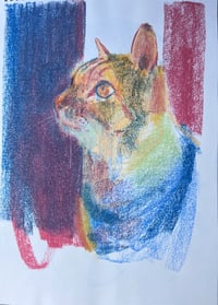 Image 1 of 'Colour kitty'