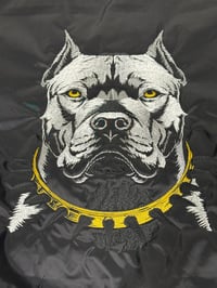 Image 1 of Pitbull Bomber 