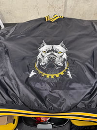 Image 2 of Pitbull Bomber 