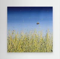 Image 1 of ‘Come fly with me’. Canvas