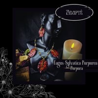 Image 1 of ☽ Fagus Purpurea Purpura ☾