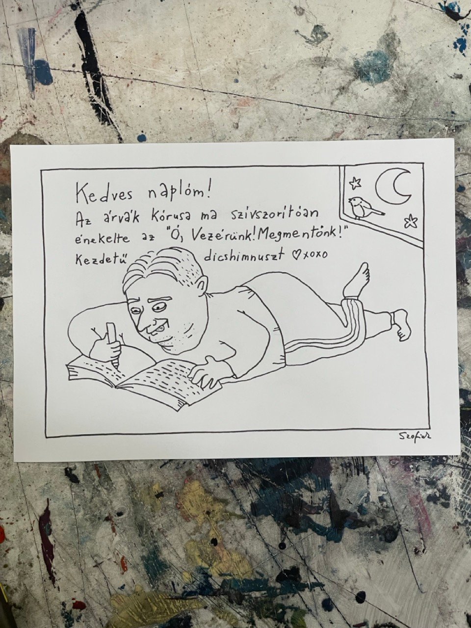 Image of Szofink: Kedves Naplóm