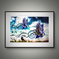 Image 4 of 'Where We Stop, Nobody Knows'