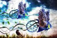 Image 1 of 'Where We Stop, Nobody Knows'