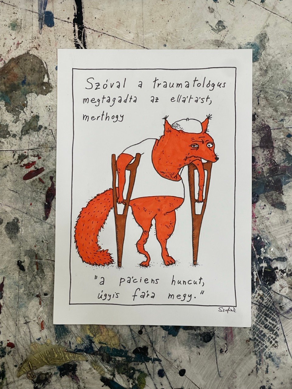 Image of Szofink: Páciens