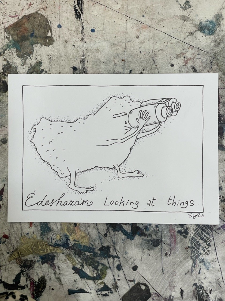 Image of Szofink: Looking at thing