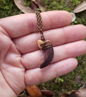 Image of Coywolf Claw Necklace