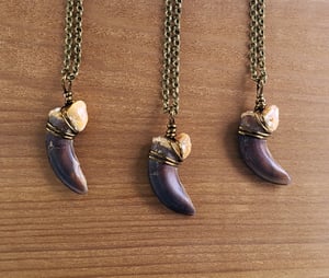 Image of Coywolf Claw Necklace