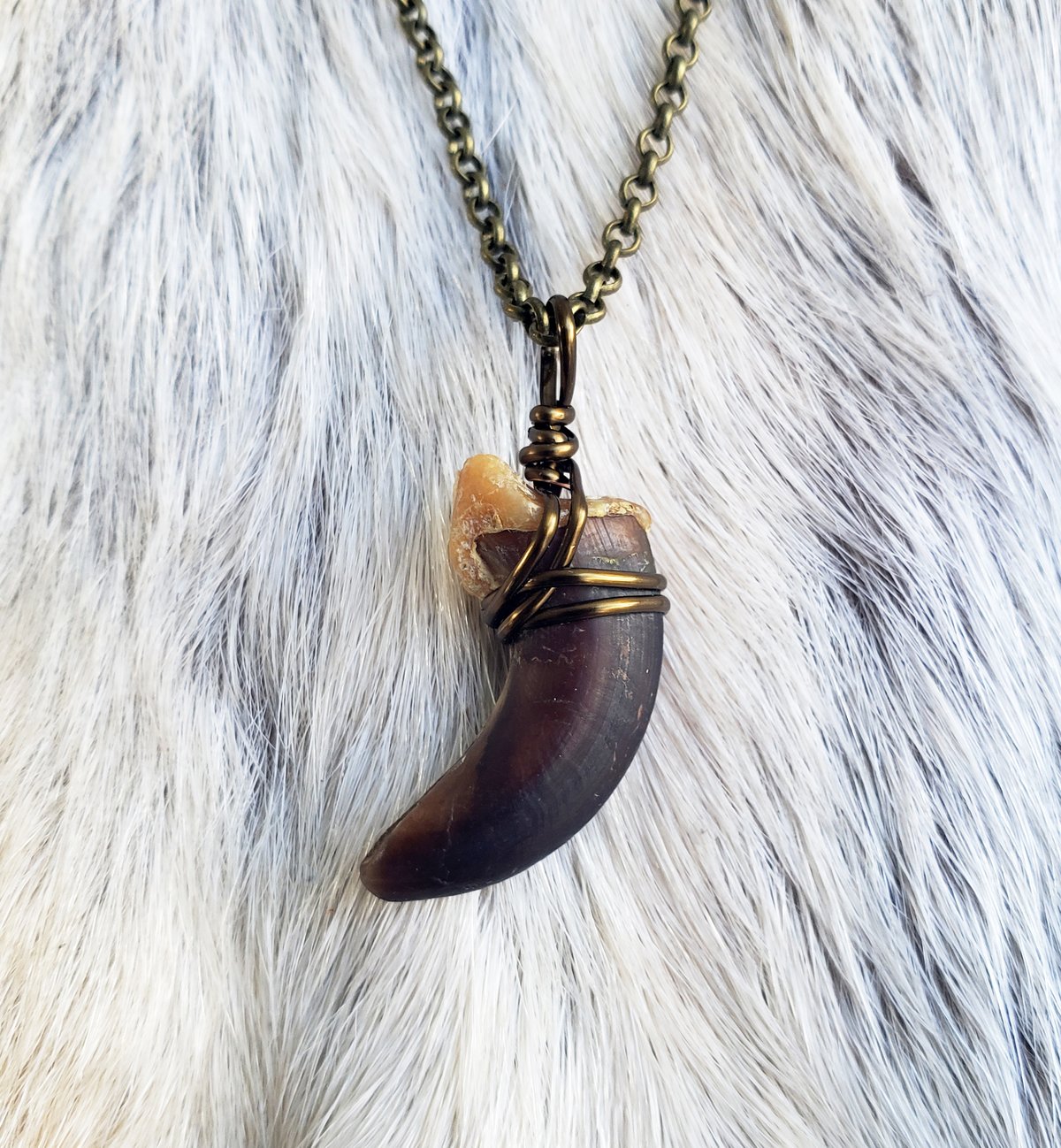 Image of Coywolf Claw Necklace