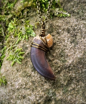 Image of Coywolf Claw Necklace