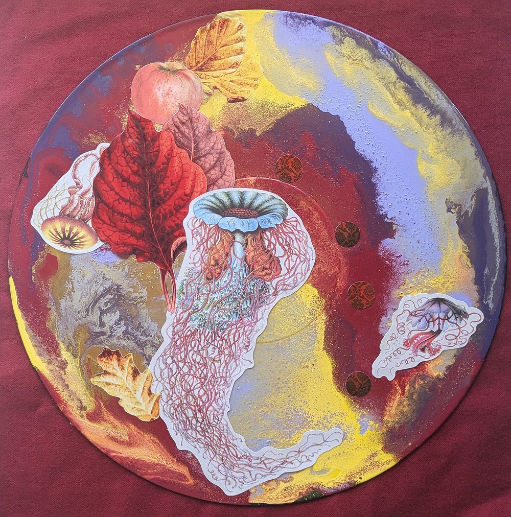 Image of Jellyfish Equinox 
