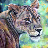 Image 1 of Original Acrylic Lioness Painting by Tammy Mercier