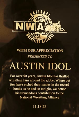 Image of Austin Idol-The Ultimate Online Wrestling Coach