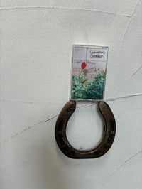 Image 1 of Sweet Dystopian Daydreams by Grandma’s Garden