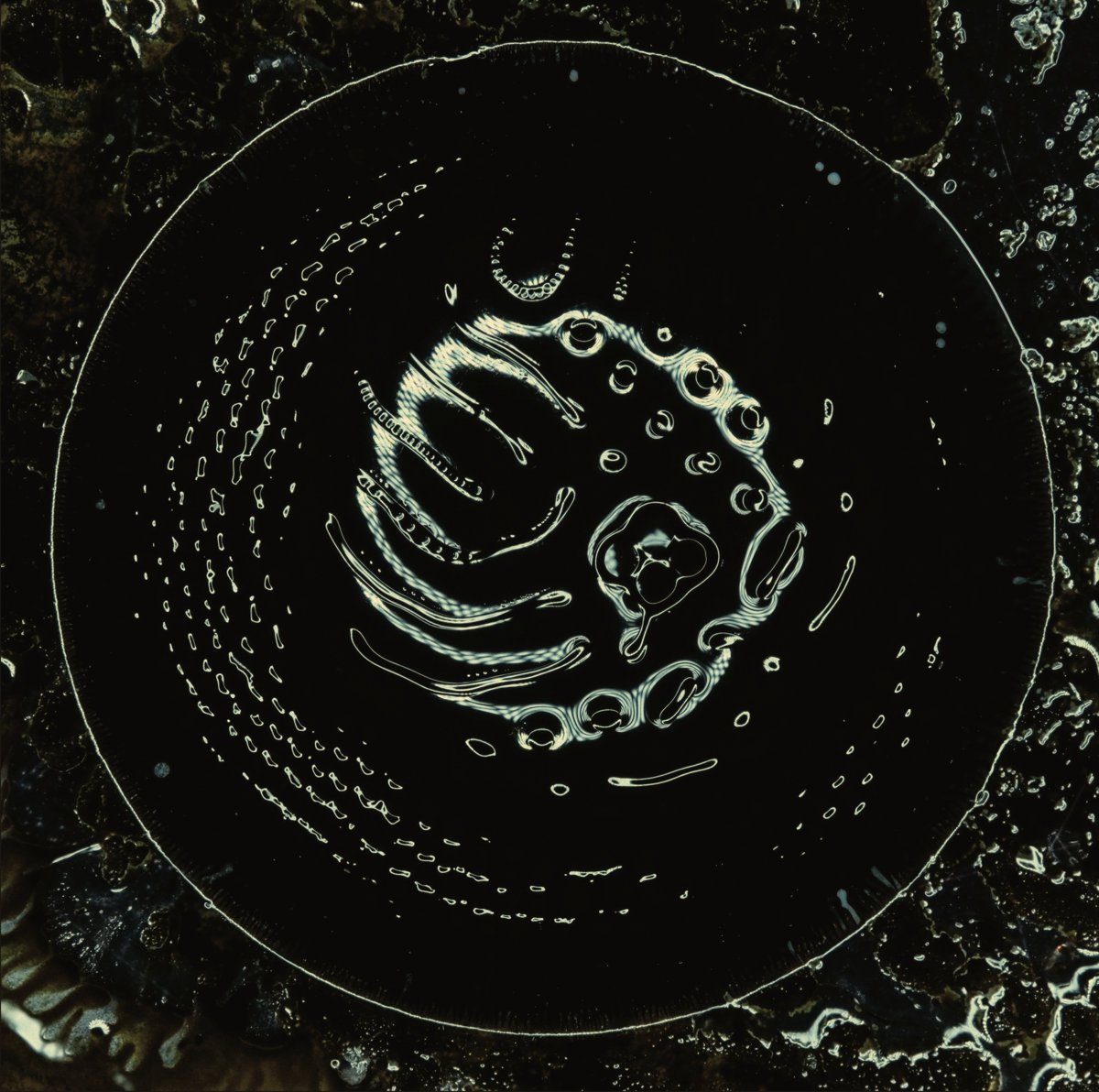 Image of Stonus - Space to Dive Limited 2xLP Deluxe and CD versions