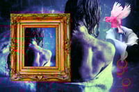 Image 1 of 'Pink Bird and Frame'