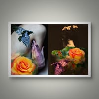 Image 2 of 'Orange Roses'