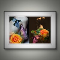 Image 4 of 'Orange Roses'