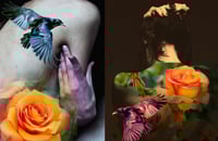 Image 1 of 'Orange Roses'