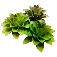 Succulent  Flower Die-Cut 3.5"