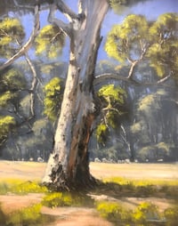 Image 1 of Gum At Dundullimal