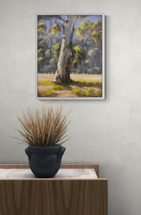 Image 2 of Gum At Dundullimal