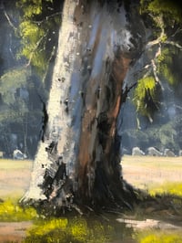 Image 5 of Gum At Dundullimal