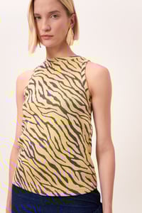 Image 1 of CANOTTA MYANMAR ZEBRA GIALLO