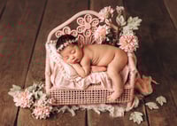 Image 1 of Bench with flowers