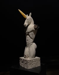 Image 2 of FERTILE RUIN 