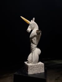 Image 3 of FERTILE RUIN 