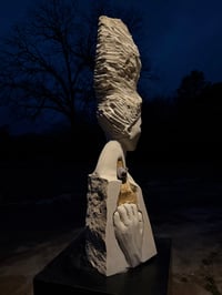 Image 3 of THE VIOLENCE OF SURVIVAL 