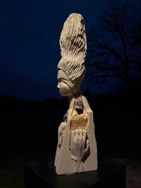 Image 2 of THE VIOLENCE OF SURVIVAL 