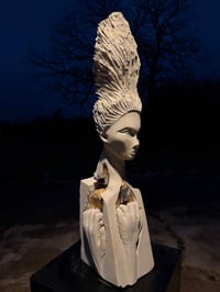 Image 5 of THE VIOLENCE OF SURVIVAL 